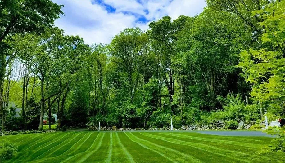 work photo from globalgreenlawncare.com