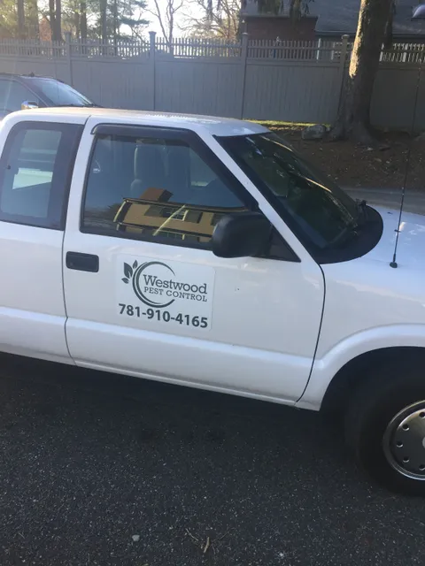 Westwood Pest Control work photo