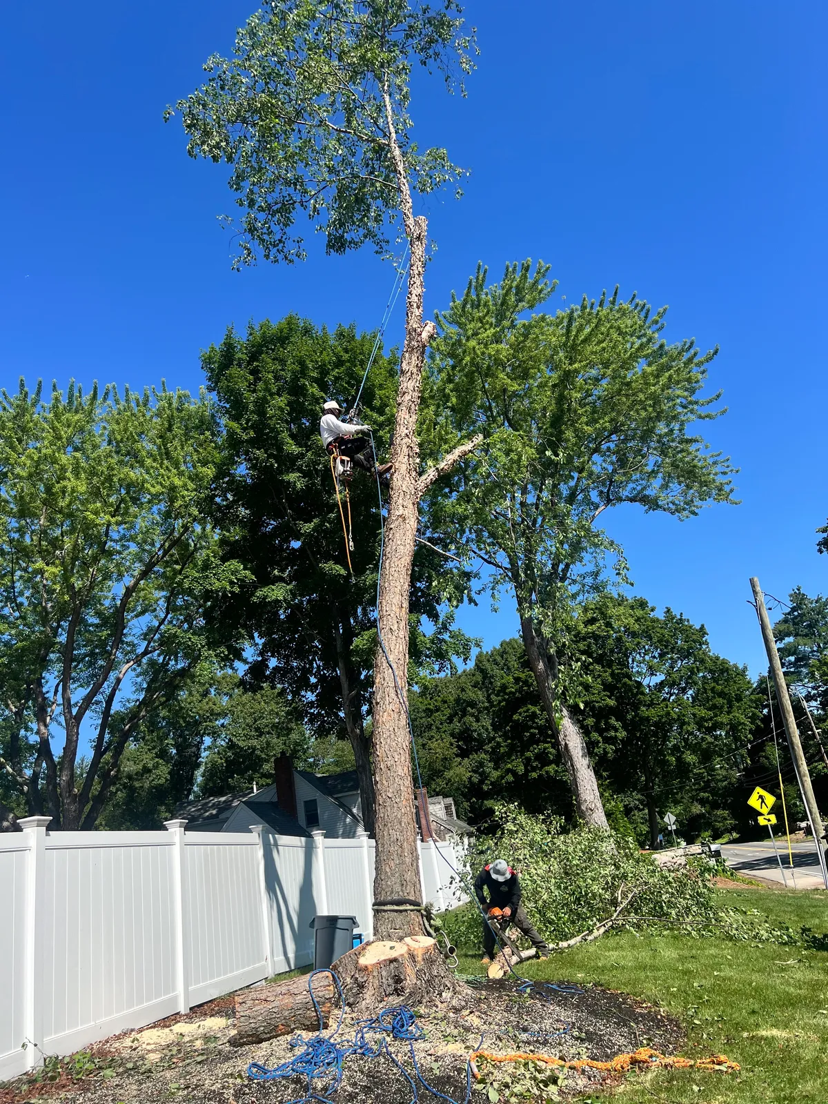 work photo from Google listing