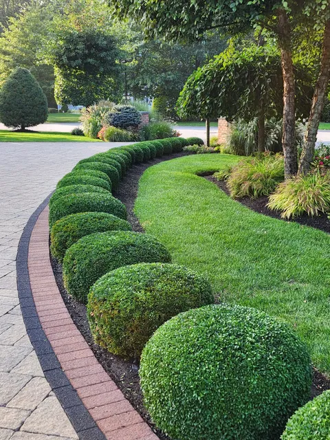 Eden Climber Landscaping LLC work photo