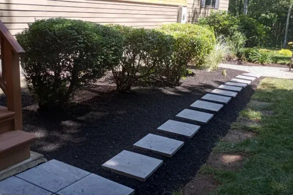 Wilson Tree & Shrub Services researched project photo