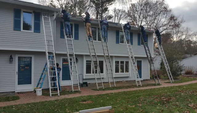 Six monkeys on ladders