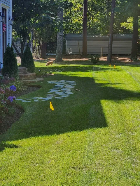 A backyard with a well-maintained green lawn, flower bed with purple flowers on the left, a stone pathway leading towards the trees and a small shed in the background, with a dog walking near the trees.