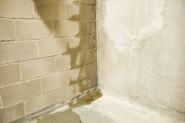 stone basement