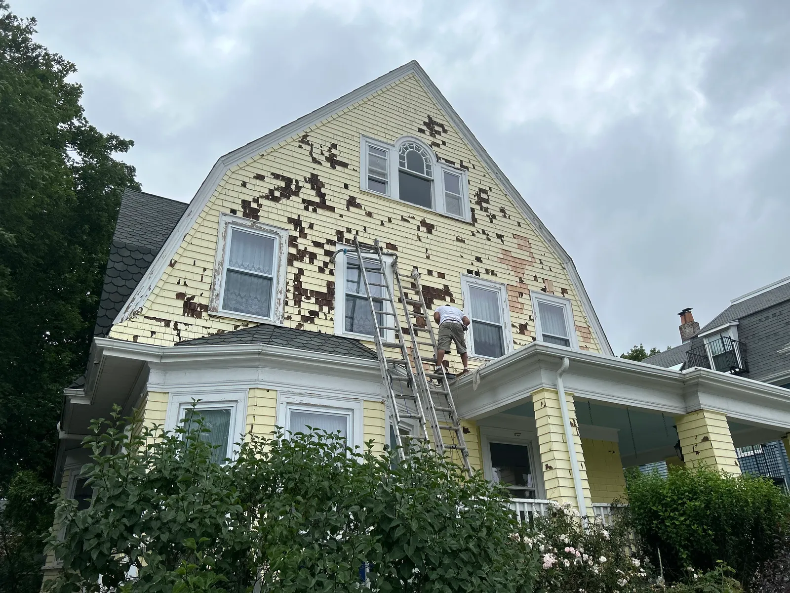 work photo from Google listing