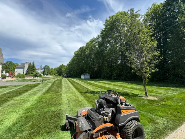 Walkers Landscape Designs work photo