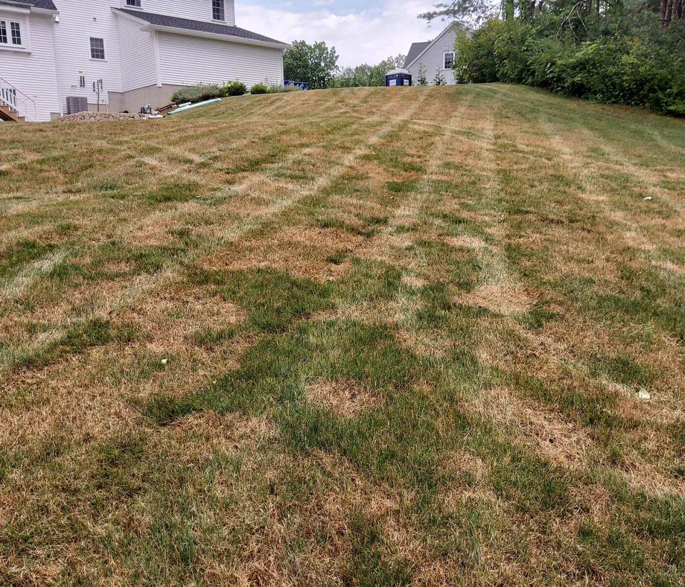 work photo from freshlawncare.com