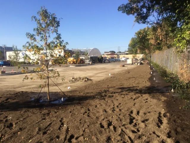 work photo from salcorplandscaping.com