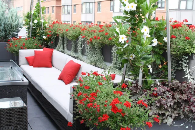 Recover Green Roofs