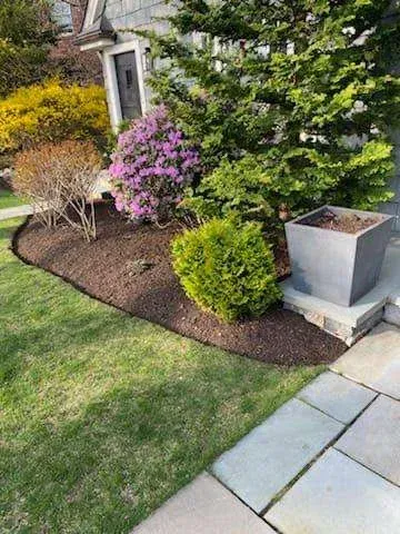 Best Landscaping Service in Chestnut Hill | Tree Trimming for 99$