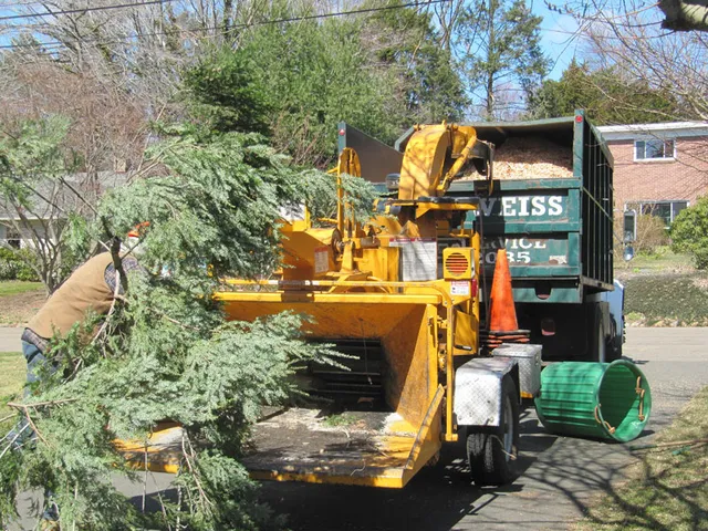 work photo from sandweisstrees.com