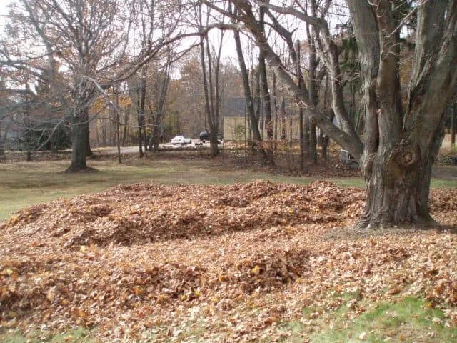 work photo from randalllandscaping.com