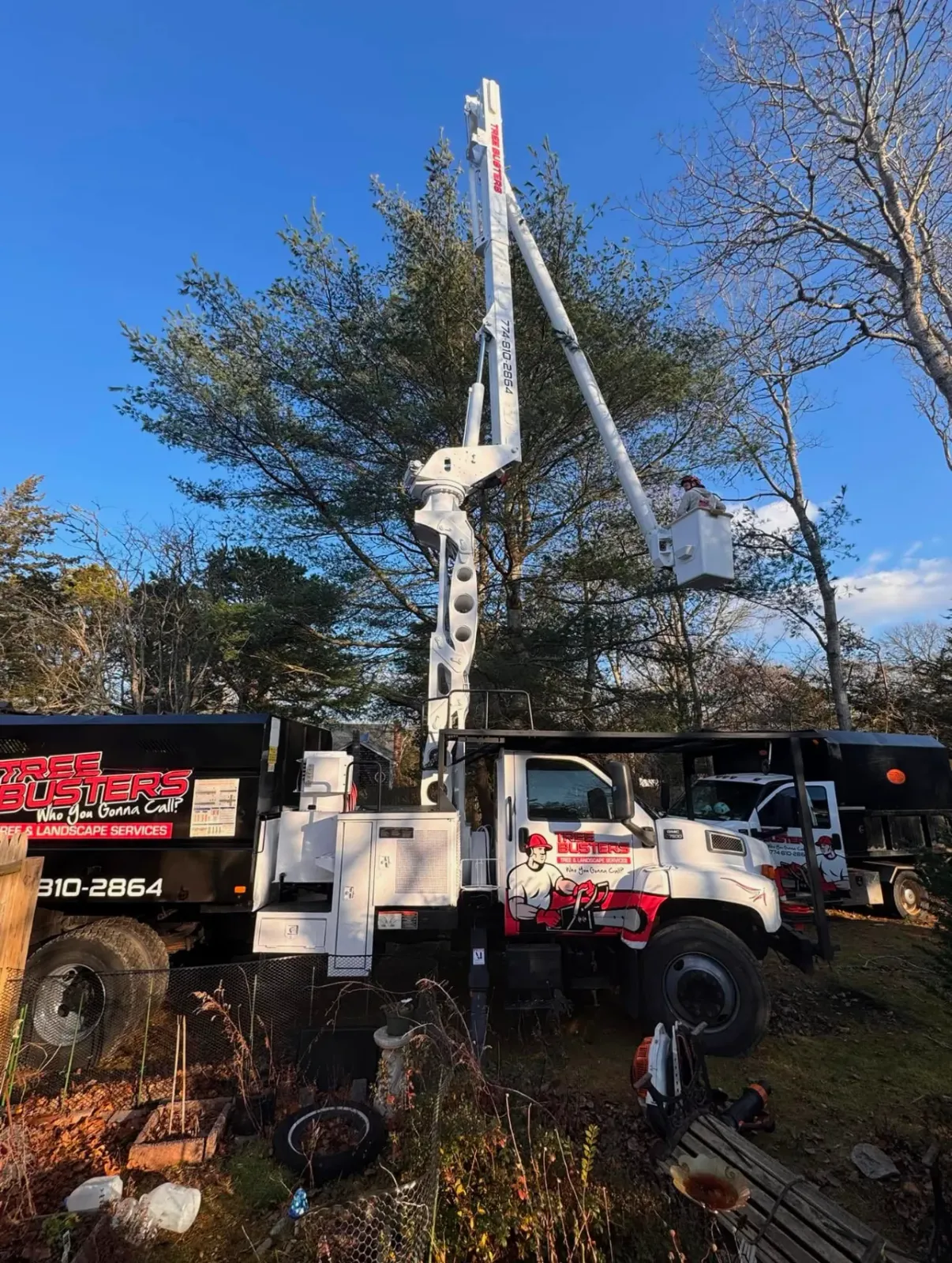 work photo from treebusterscapecod.com