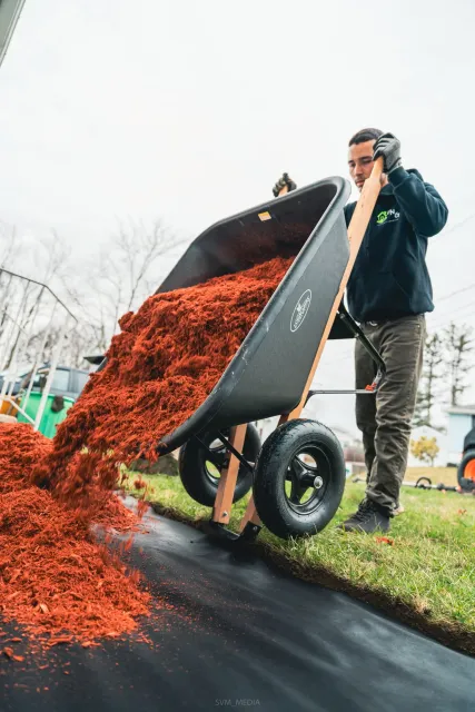 A person using a wheelbarrow to transport reddish mulch on a cloudy day in a yard.