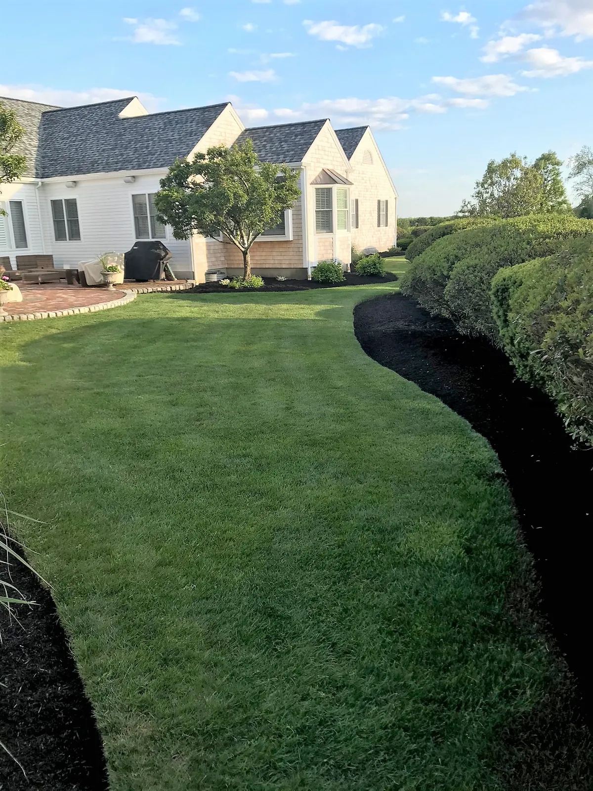 work photo from cactusflowerlandscaping.com