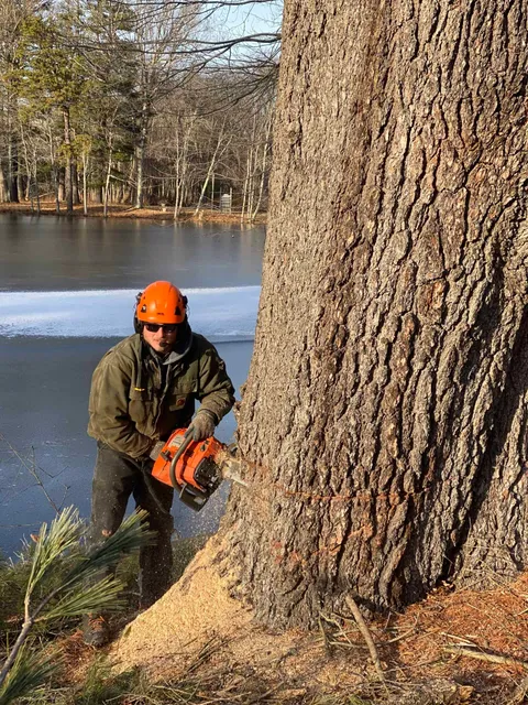work photo from northsmithfieldtreeservice.com