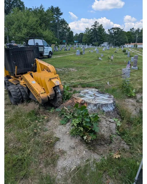 Thanks for trusting our team to handle this stump with caution, care, and a thoughtful prayer ?Goodwins Mills Cemetery. #mainelandstumpgrinding #stumps #stumpsgone #stumpgrinding #stump #stumpremoval #stumpgrindingmaine #cemeterystumps #propertymanagement #mainecemetery #goodwinsmills