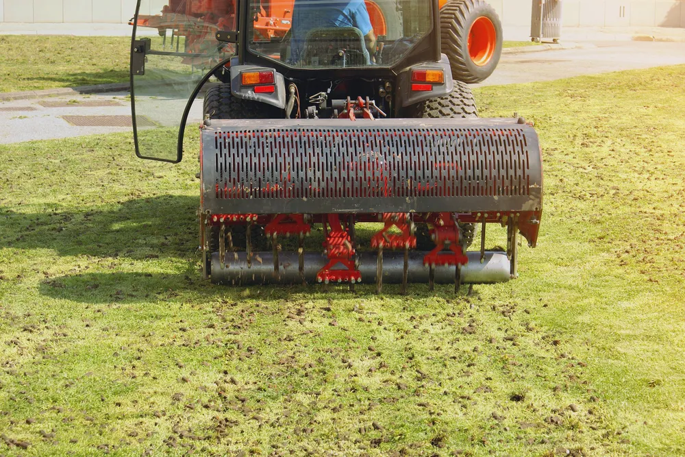 work photo from lolaslandscape.com