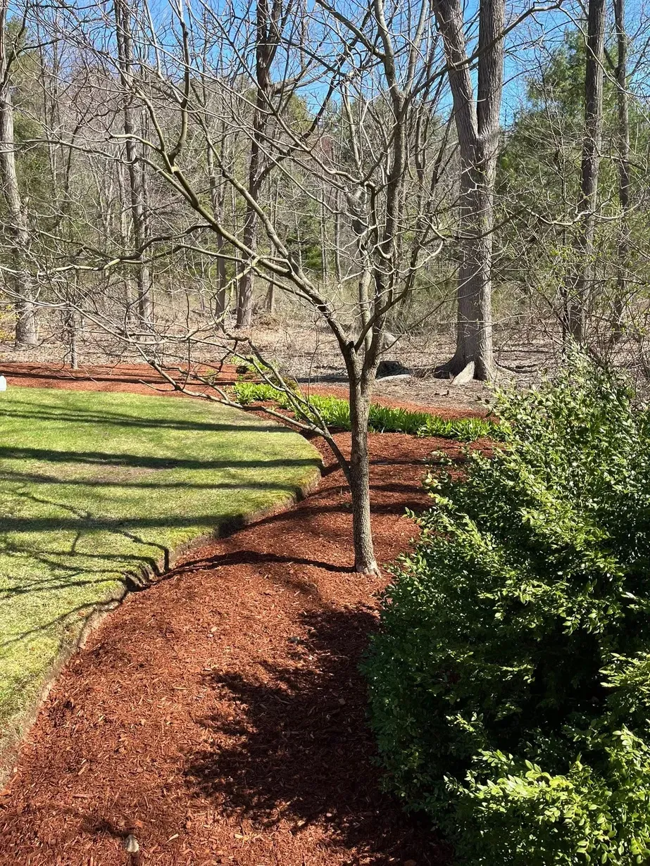 work photo from bentleysgreenscapes.com