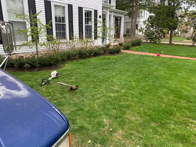 E. Gomes Landscaping researched project photo