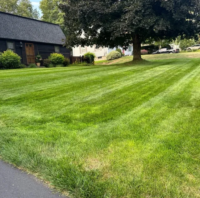 Acres Landscaping LLC work photo