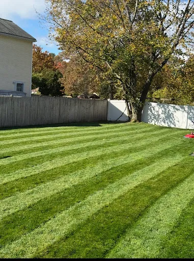 GrasshoppersUSA work photo