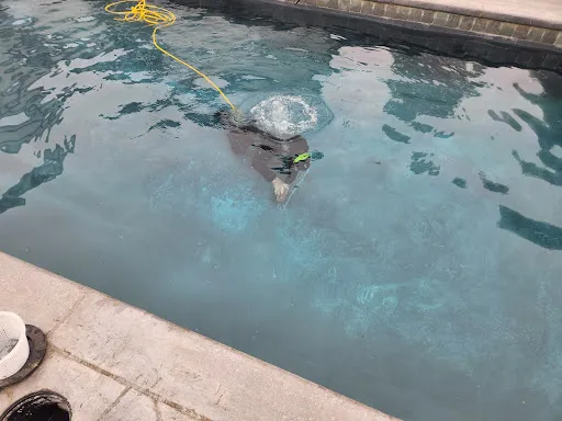 Pooldiver.com pool diver, pool repair diver, ctpoolrepairdiver work photo