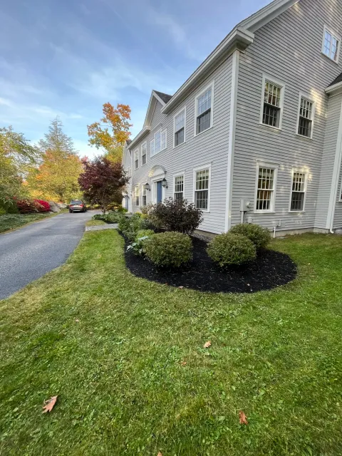 View of a white multi-story house with multiple windows, surrounded by landscaped bushes and trees, along a paved driveway on a clear day.