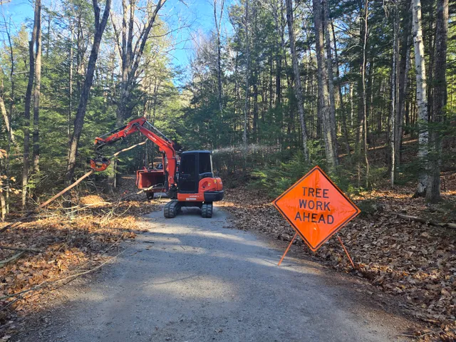 Sapphire Land & Tree work photo