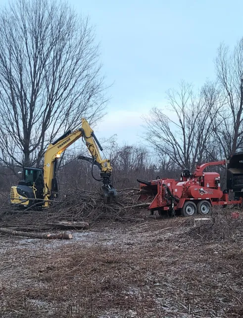 tree removal - tree pruning - crane services - lot clearing - stump grinding - timber pros  - Central MA
