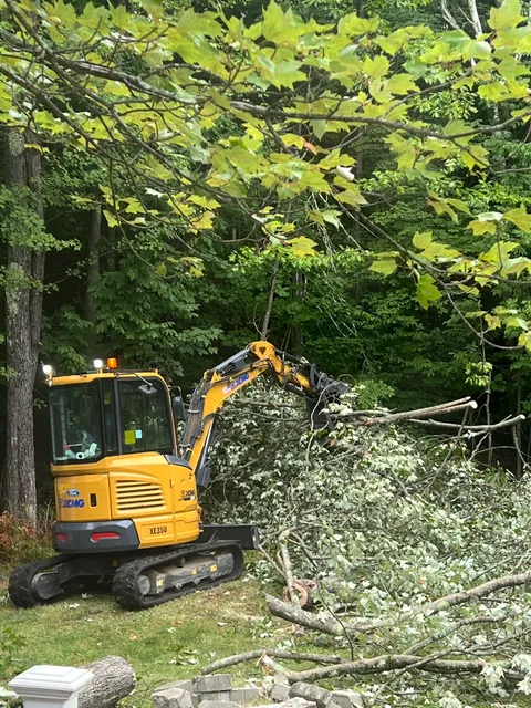 Gentilini Tree Service work photo