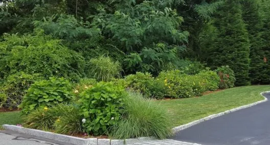 Cape Cod Lawn Care