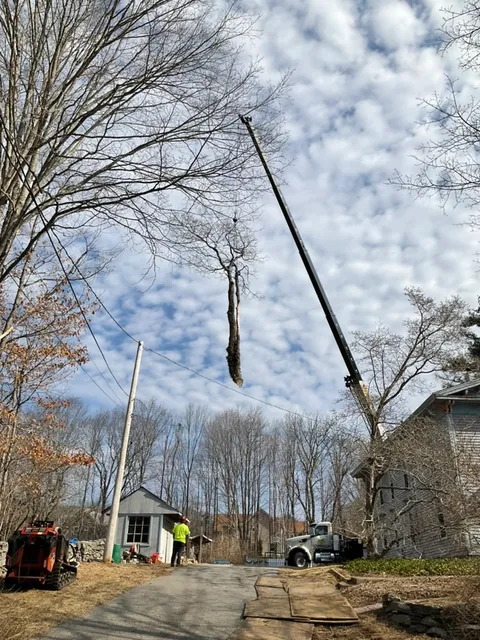 work photo from arbortechct.com