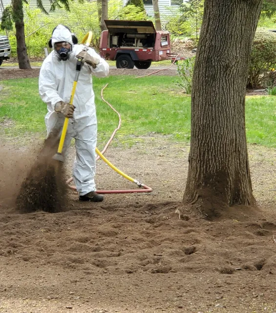 An arborist dressed in white protective suit, gloves, and mask is using a tool to dig or excavate soil in a yard with green grass and trees. In the background, there is a red trailer with its lid open and some tools inside, parked on dirt near trees.
