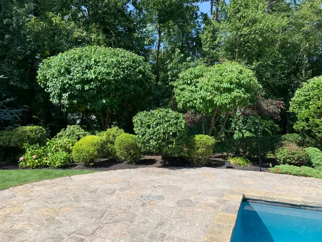 Palmieris Lawn Care LLC work photo