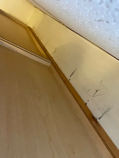 work photo from 3rdhandcleaningandpainting.com