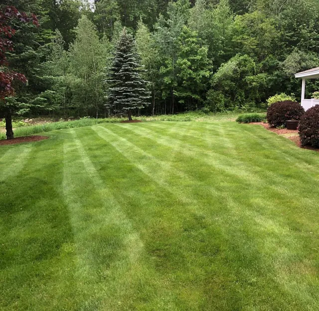 Goodwin Brothers Land Services, LLC work photo