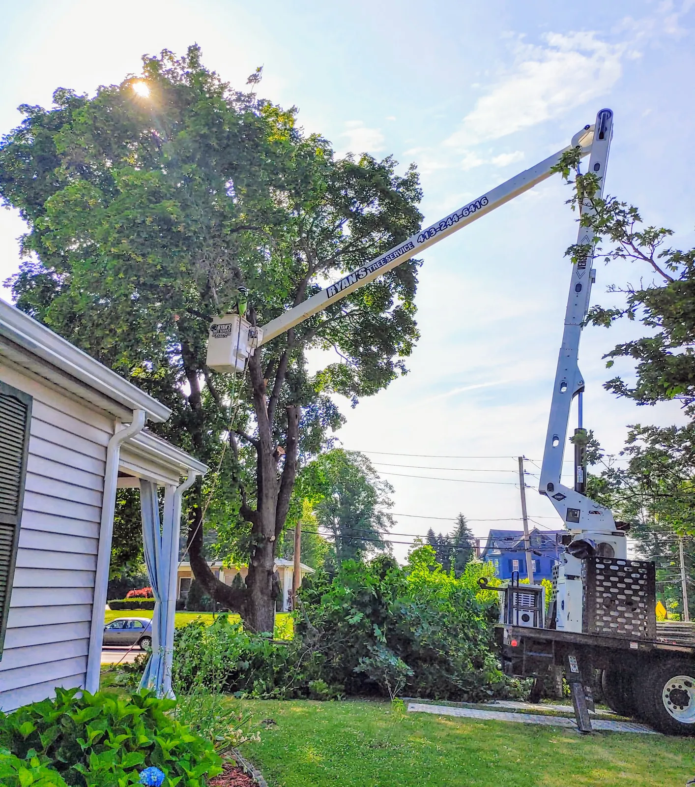 work photo from Google listing