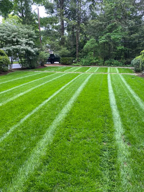 Ted's Lawn and Landscape work photo
