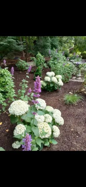 work photo from naturetouchlandscaping.com