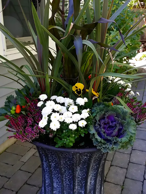 A large decorative flowerpot containing greenery and flowers, including tall purple-leafed grasses, white daisies, purple and pink flowers, and an ornamental purple cabbage plant, placed on a brick pathway outside.