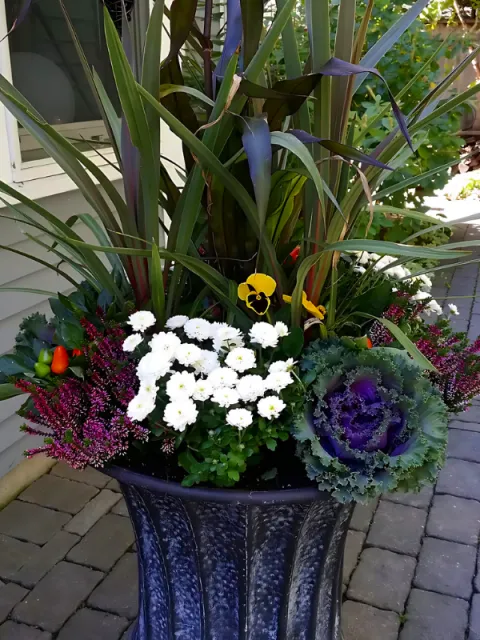 A large decorative flowerpot containing greenery and flowers, including tall purple-leafed grasses, white daisies, purple and pink flowers, and an ornamental purple cabbage plant, placed on a brick pathway outside.