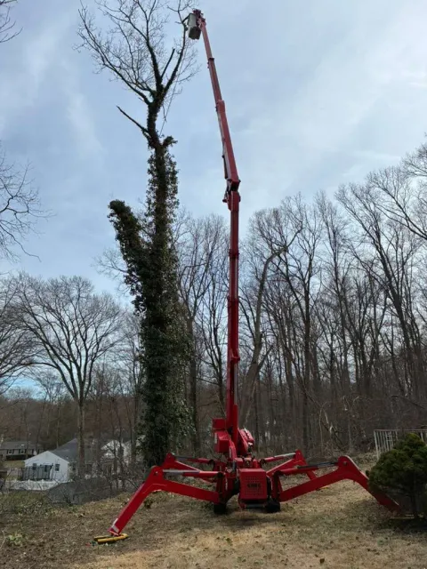 Land Clearing Connecticut