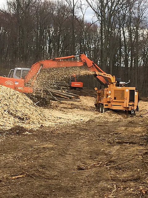 JR Tree Removal work photo