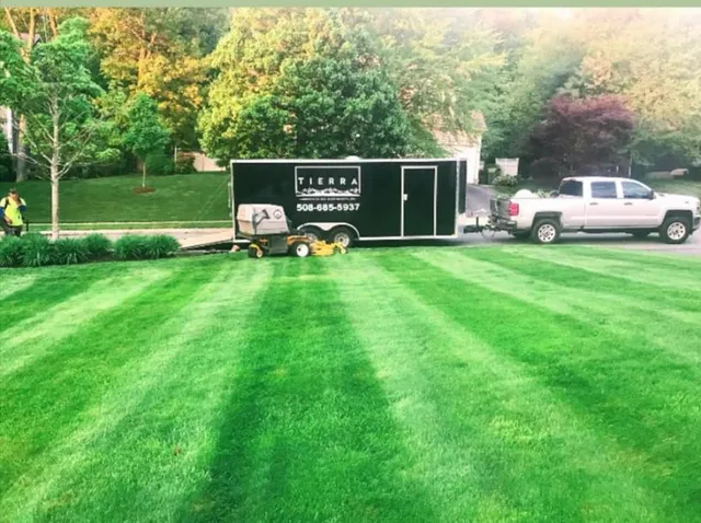 Tierra Landscaping researched project photo