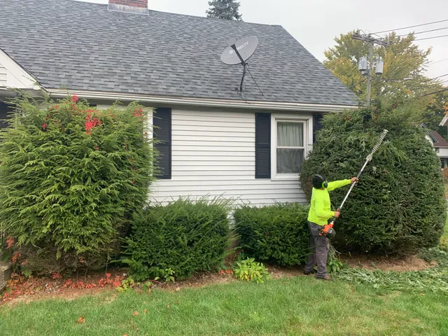 Byron Joels Tree Removal & Landscaping work photo