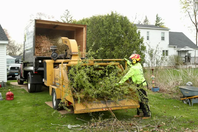 M&G Tree Services work photo