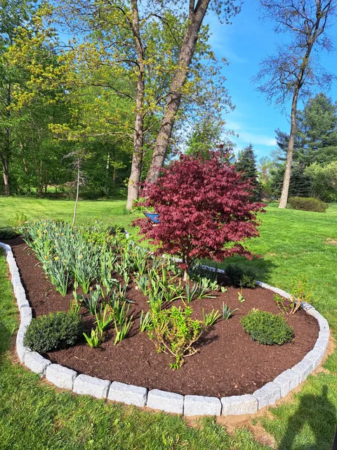 Molina Landscape and Renovate LLC work photo