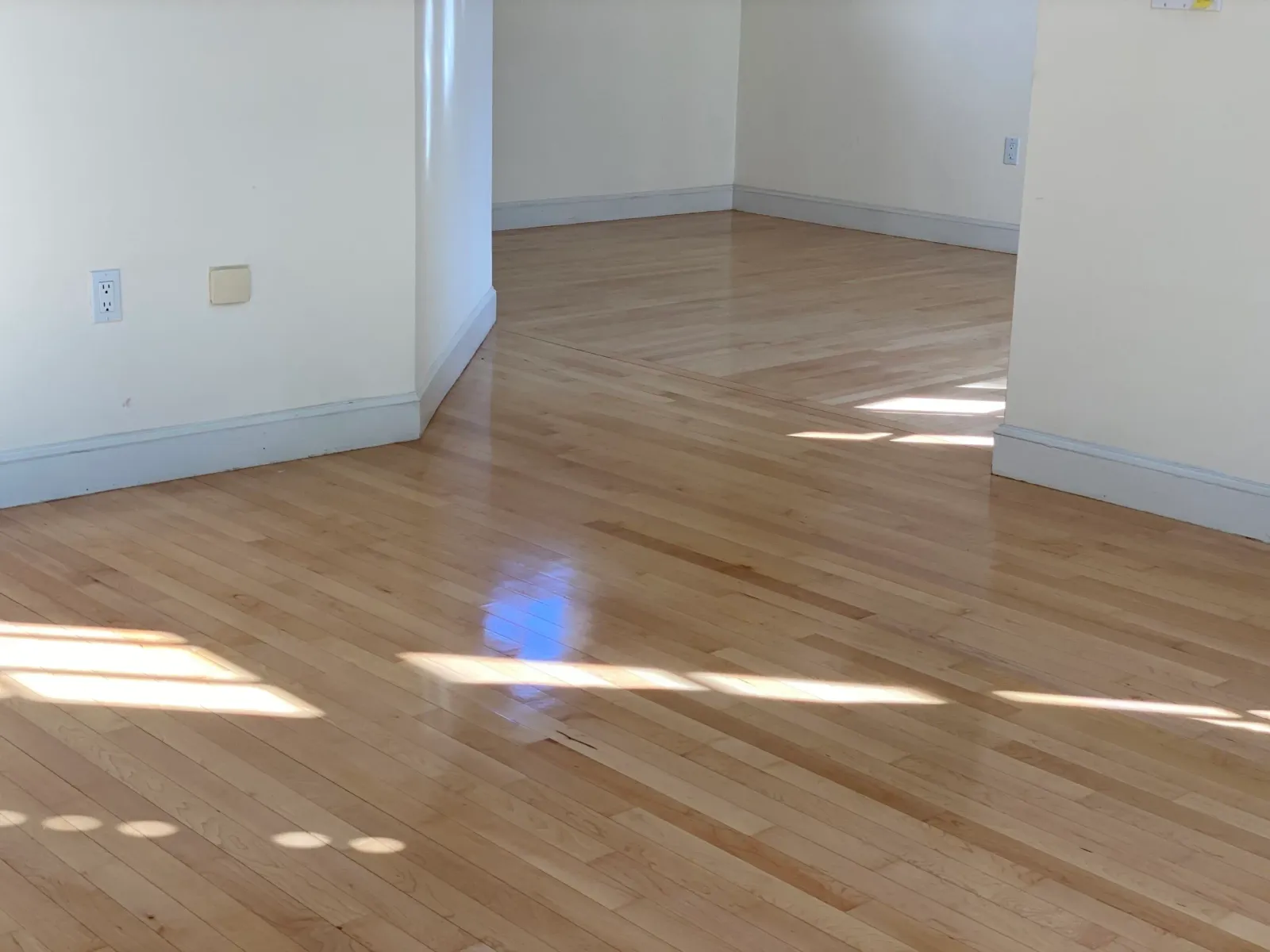 Tranquil Afternoon Retreat: White Wooden Floor