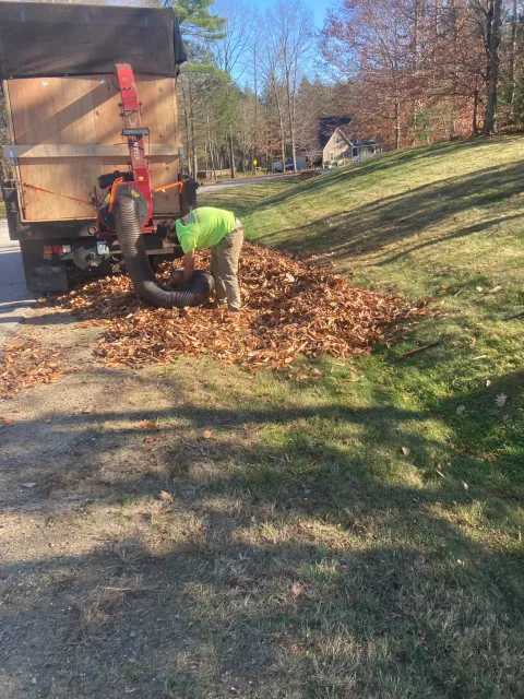 Leaf blower clearing a pile of autumn leaves beside a trailer in a grassy yard.